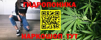 индика Ипатово