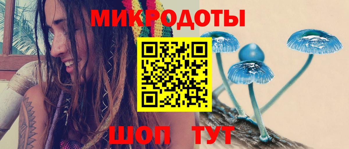 Галлюциногенные грибы MAGIC MUSHROOMS  Вход с VPN  Вологда  Галлюциногенные грибы Psilocybe 